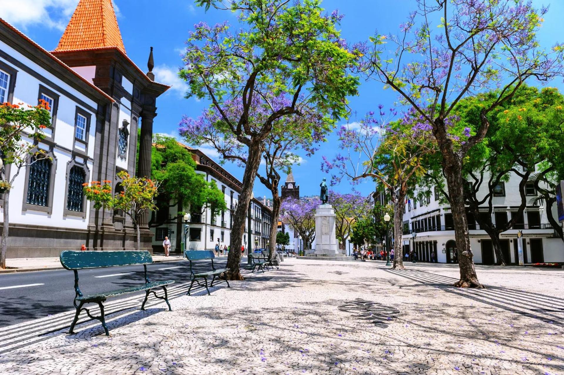 Stylish Apartment With Balcony And Amazing Views Over Funchal And The Sea 외부 사진